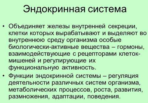 что такое лактоза, зачем нужна и где содержится