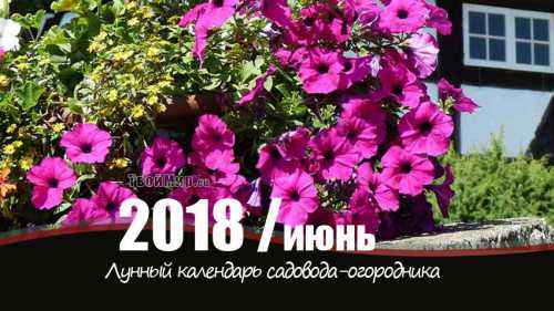 лунный календарь стрижки волос на декабрь 2017 года